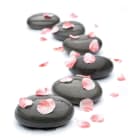 ACSO - Dynaver GS - 300W - Stones & Flowers - 585x585x39 - Sans régul - 230V