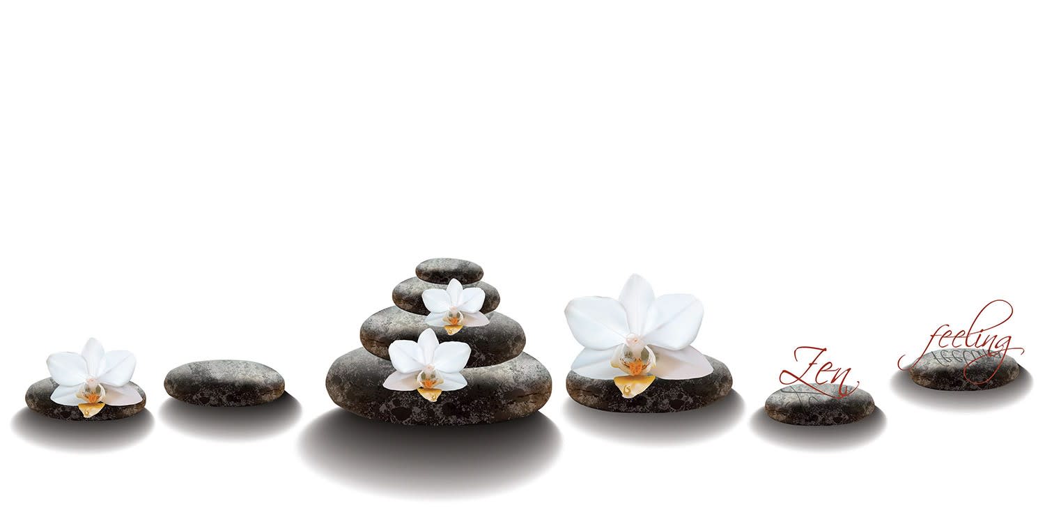 ACSO - Dynaver GS - 600W - Stones&Orchids - 1185x585x39 - Sans régul - 230V