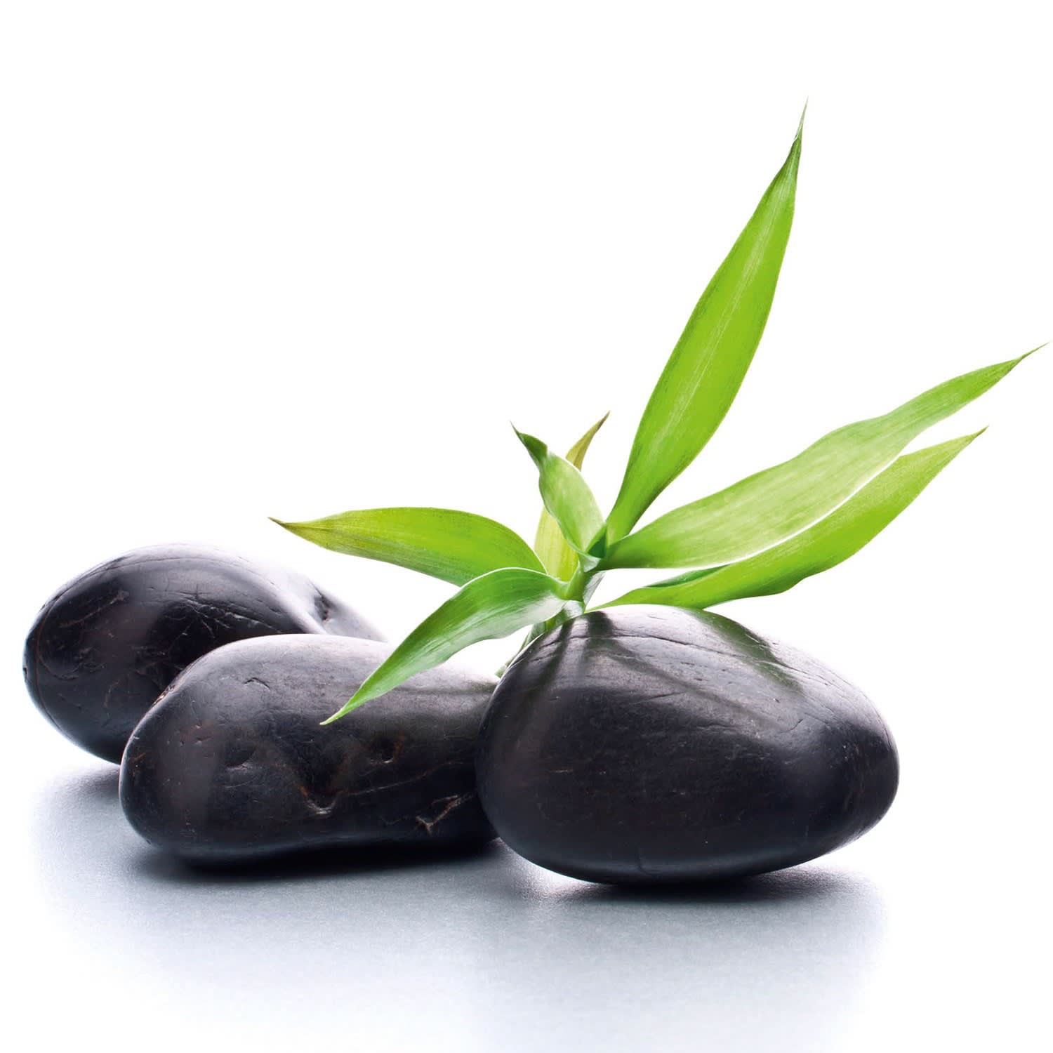 ACSO - Dynaver GS - 300W - Stones & Plant - 585x585x39 - Sans régul - 230V