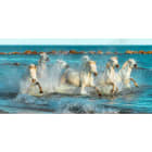 ACSO - Dynaver GS - 600W - White Horses - 1185x585x39 - Sans régul - 230V