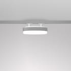 Planlicht - lilibet rail 3-phases argent sat. 330mm LED HO 4000K 15W 1624lm CRI90