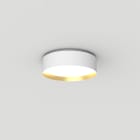 Planlicht - odelia en saillie or/blanc sat. 330mm LED HO 3000K 15W 1415lm CRI90