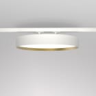 Planlicht - odelia rail 3-phases or/blanc sat. 620mm LED HO 3000K 40W 4499lm CRI90