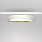 Planlicht - odelia rail 3-phases di/id or/blanc prism. 620mm LED VO 4000K 51W 5934lm CRI90