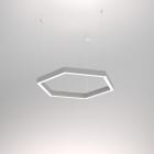 Planlicht - p.forty HEXAGON susp. argent di/id sat. LED HO 4000K 130.9W 19194lm DALI CRI90