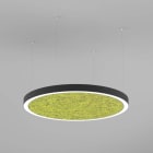 Planlicht - sinus.quiet susp. noir prism. 1530mm LED HO 3000K 111W 11744lm CRI90