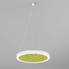 Planlicht - sinus.quiet susp. 'Z' blanc sat. 1174mm LED HO 4000K 81W 8648lm CRI90