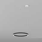 Planlicht - halo suspension noir 1040mm LED LO 4000K 35W 1984lm CRI90