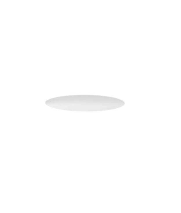 Side Lighting - BIG INCASSO 290 diam.295mm 16W 1563lm 4000K IP20-40 BR RW 220-240V  50/60Hz 500m