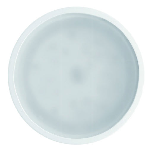 Side Lighting - NET sc XL diam.110mm 15W 1360lm 3000K IP20 BR RW 70? 220-240V  50/60Hz 700mA