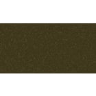 Acova - Fassane EC vert. double, couleur, 2574W, H 1700 mm / L 962 mm