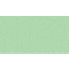 Acova - Kéva EC Horizontal double, couleur Pastel Green, 1010W, H 600 mm / L 827 mm