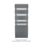 Acova - Fassane Spa Symétrique EC, 2 patères, Anthracite, 625W, H1333mm / L500mm