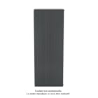 Acova - Fassane EC vert. simple, couleur, 1570W, H 2000 mm / L 740 mm