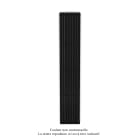 Acova - Altai EC V double, Traffic Black 9217, 1198W, H 2000 mm / L 352 mm