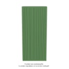 Acova - Altai EC V double, Reseda Green 6211, 2994W, H 2000 mm / L 880 mm