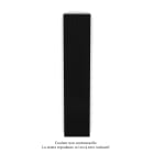 Acova - Planea EC V double, Jet Black 9005, 1248W, H 2000 mm / L 420 mm