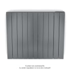 Acova - Fassane Premium EL H, commande RF,Anthracite 0346, 1000W H700 mm / L831 mm