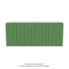 Acova - Fassane Premium EL H, commande RF,Reseda Green 6211, 1000W H500 mm / L1201 mm