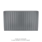 Acova - Fassane Premium EL H, commande RF,Anthracite 0346, 1500W H700 mm / L1201 mm