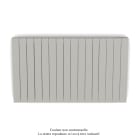 Acova - Fassane Premium EL H, commande RF,Telegrey 4 7247, 1500W H700 mm / L1201 mm