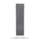 Acova - Fassane Premium EL V, commande RF, couleur Anthracite, 750W, H1517 mm / L370 mm
