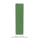 Acova - Fassane Premium EL V, commande RF, couleur Reseda Green, 750W,H1517mm / L370mm