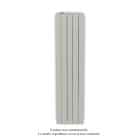 Acova - Fassane Premium EL V, commande RF, couleur Telegrey 4, 750W, H1517 mm / L370 mm