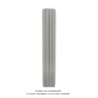 Acova - Fassane Premium EL V, commande RF, couleur Inox Look, 750W, H 2017mm / L 296mm