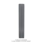 Acova - Fassane Premium EL V, commande RF, couleur Anthracite, 750W, H2017 mm / L296 mm