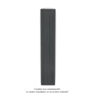 Acova - Fassane Premium EL V, commande RF, couleur Black Matt, 1000W, H2017mm / L370mm