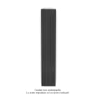 Acova - Fassane Premium EL V, commande RF,couleur Anthracite Grey, 1000W,H2017mm/L370mm