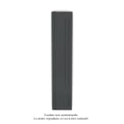 Acova - Fassane Premium EL V, commande RF, couleur Black Matt, 1250W, H2217mm / L444mm