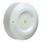 Ura - Isolateur de court-circuit pour DA Adressable