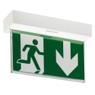Ura - BAES Uralife V Évacuation SATI Adressable - pose plafond encastrée ou saillie