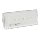 Ura - Luminaire pour Source Centrale Urajet Ambiance 110/220 Vdc et 230V~ - 320lm