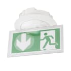 Ura - Luminaire sur Source Centrale LSC Practice Évacuation 110/220/230 Volts