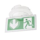 Ura - Luminaire sur Source Centrale LSC Practice Évacuation 24/48 Volts