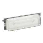 Ura - Luminaire LSC tôle verre Évacuation - 24/48Volts