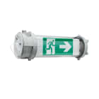 Ura - BAES evacuation ATEX SUPER SATI LEDs 45lumen