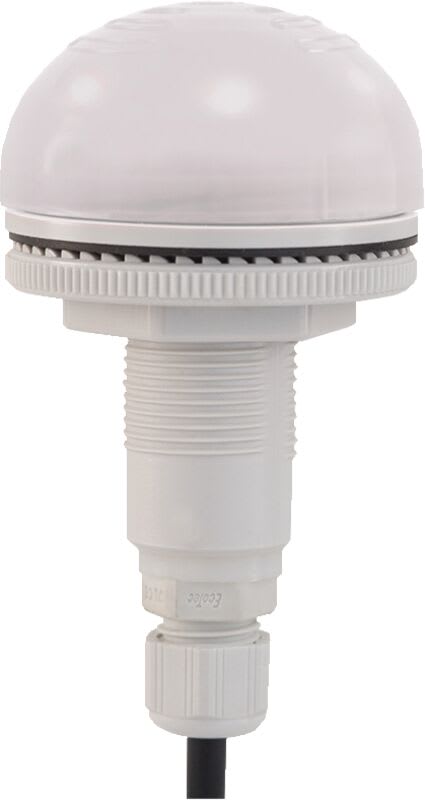 SIRENA - buzzer lumineux encastrable P50 A LED 92dB blanc 12/24VCACC IP65 P-E M12