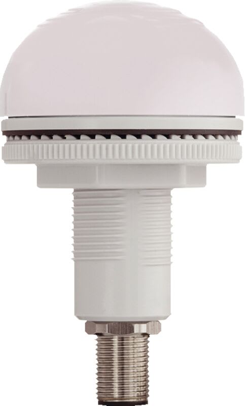 SIRENA - buzzer lumineux encastrable P50 A LED 92dB blanc 12/24VCACC connecteur rapide