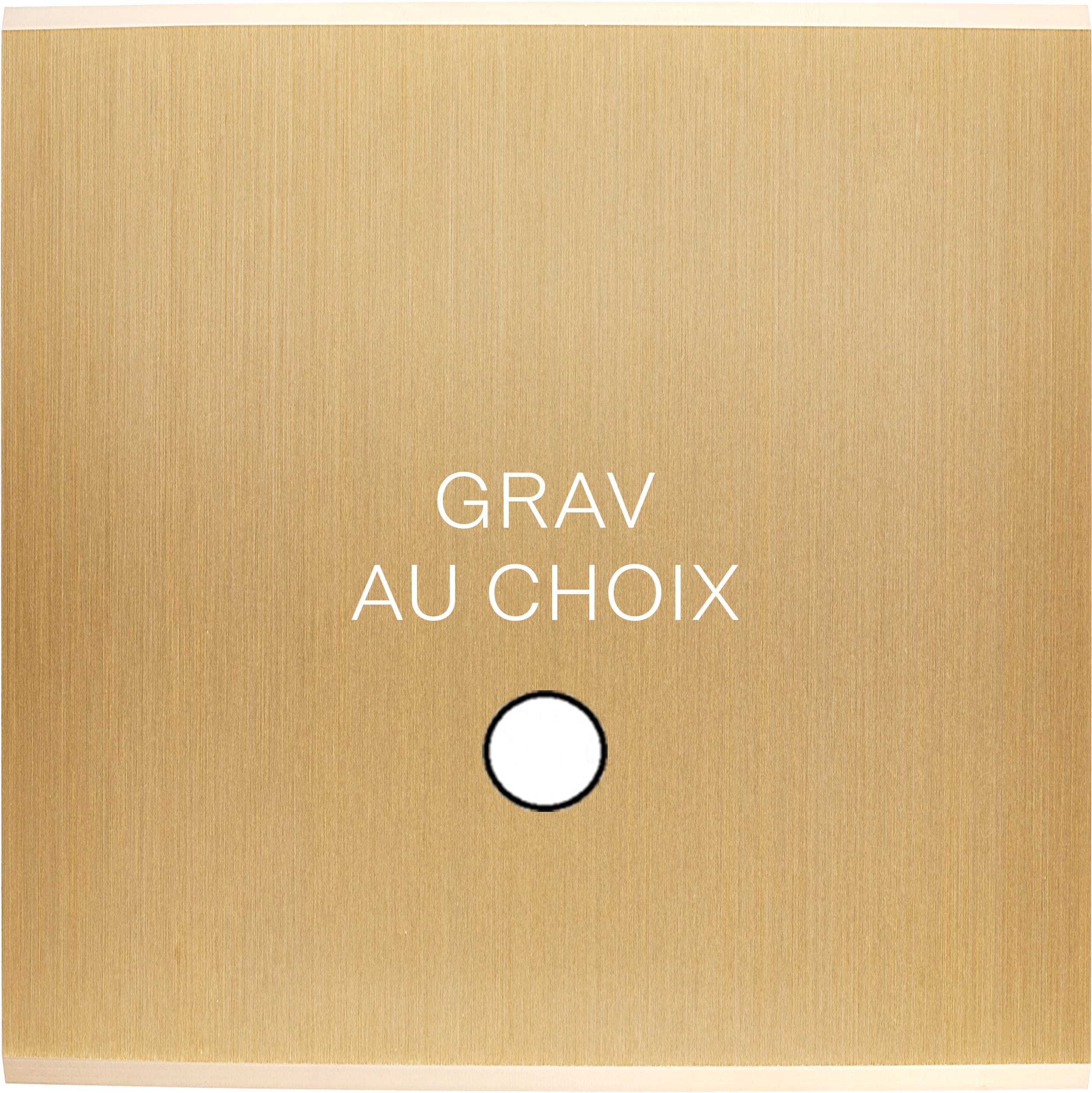 MODELEC - Façade Confidence Laiton Brosse Simple Guinu Magnétique