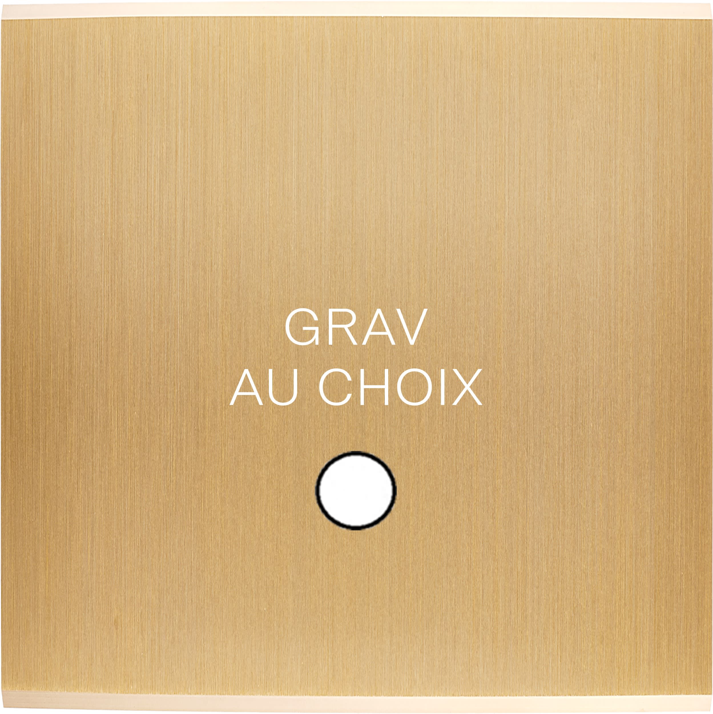 MODELEC - Façade Confidence Laiton Brosse Simple Guinu Magnétique