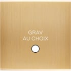 MODELEC - Façade Confidence Laiton Brosse Simple Guinu Magnétique