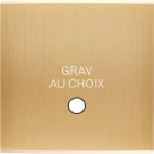 MODELEC - Façade Confidence Laiton Brosse Simple Guinu Magnétique