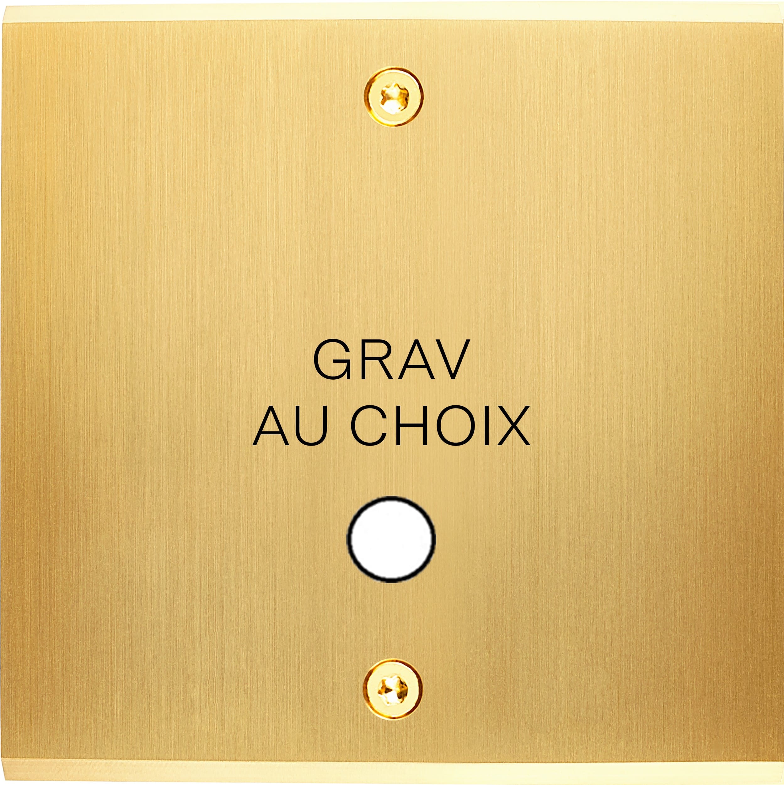 MODELEC - Façade Confidence Laiton Satine Simple Guinu Vis