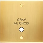 MODELEC - Façade Confidence Laiton Satine Simple Guinu Vis