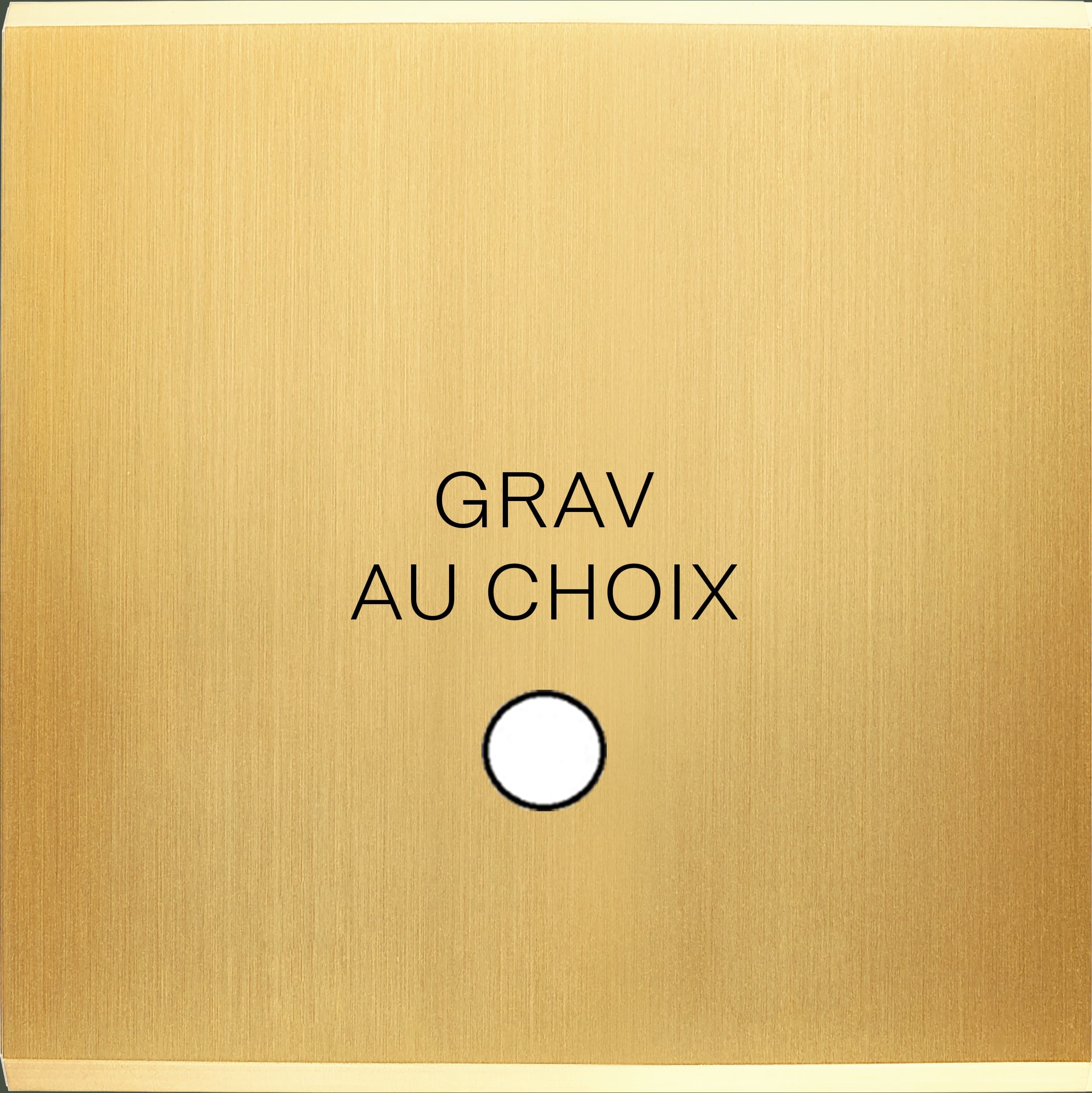 MODELEC - Façade Confidence Laiton Satine Simple Guinu Magnetique