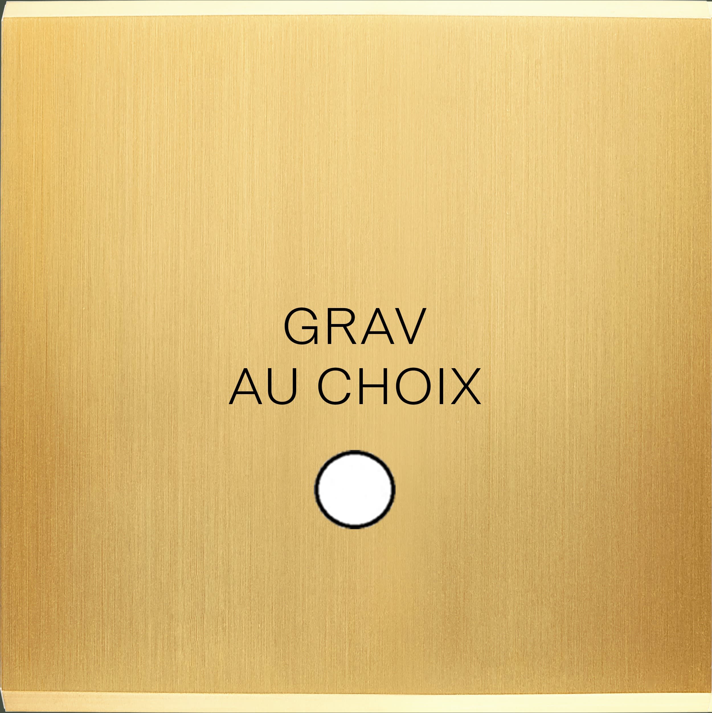 MODELEC - Façade Confidence Laiton Satine Simple Guinu Magnetique